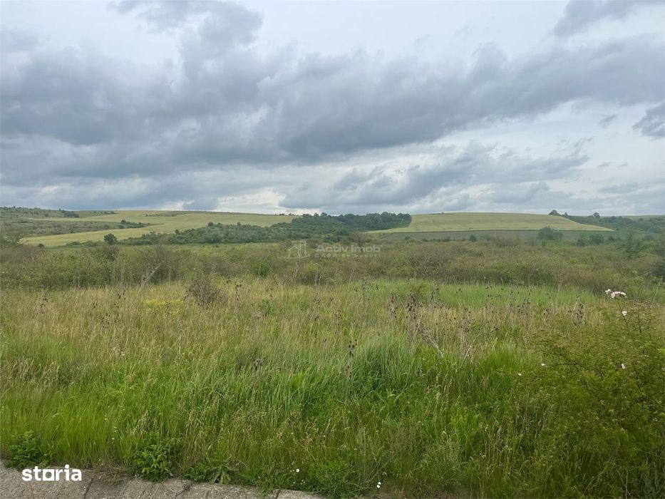 Lugoj, Teren 16.800 Mp., Cu deschidere  de 80 Ml., La Centura Ocolitoa
