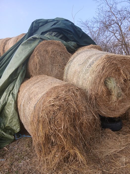 Vand baloti  fan si luterna