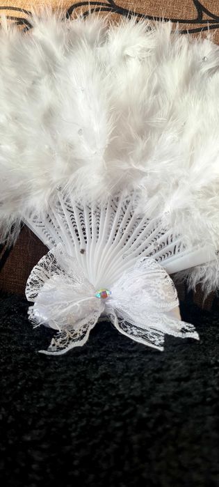 Evantai cu pene și pietricele