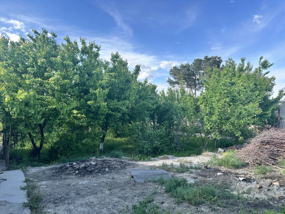 Сотилади: Ер участкаси ва эски уй (13 сотих)