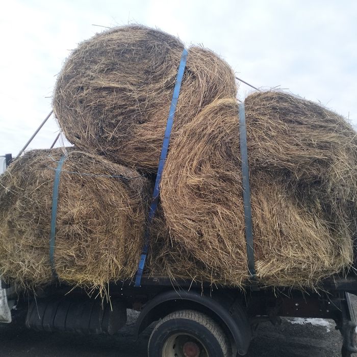 Vând baloți de fân