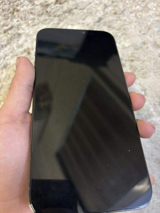 Iphine 12 pro max ideal