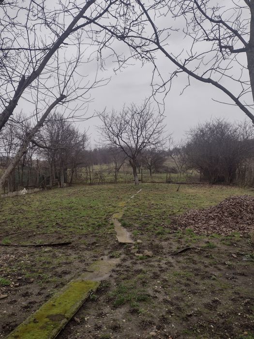 Casa Tăuții Măgherăuș zona centrală