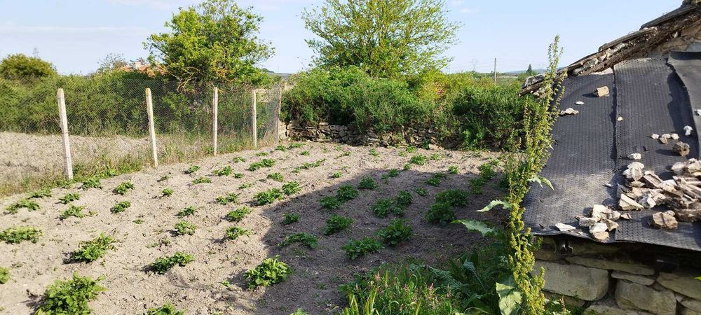 къща в с. Неофит Рилски, област Варна