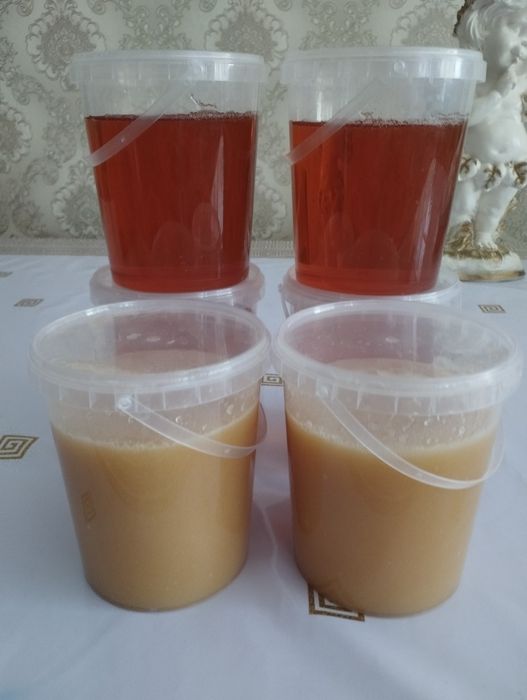 Натуральный мед Россия