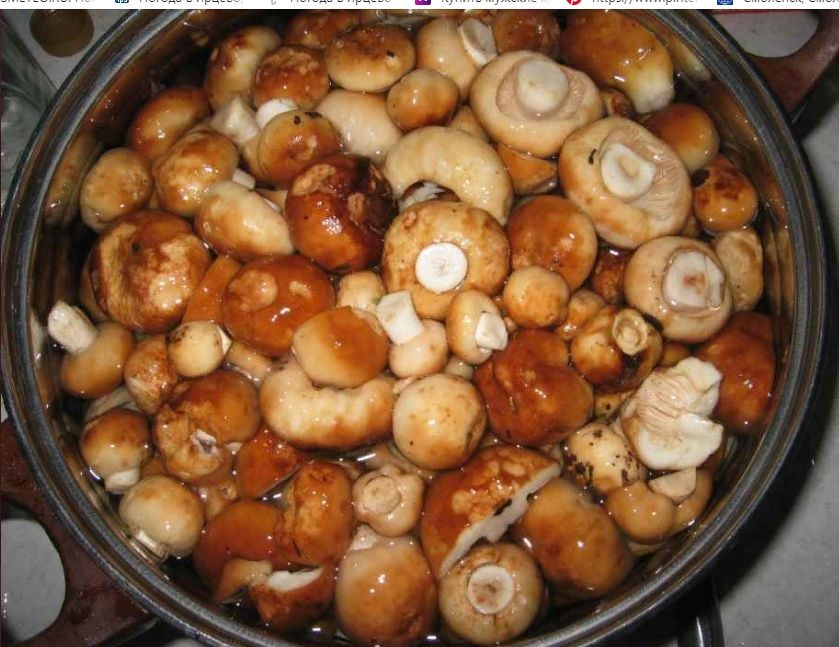 Продам соленые грибы