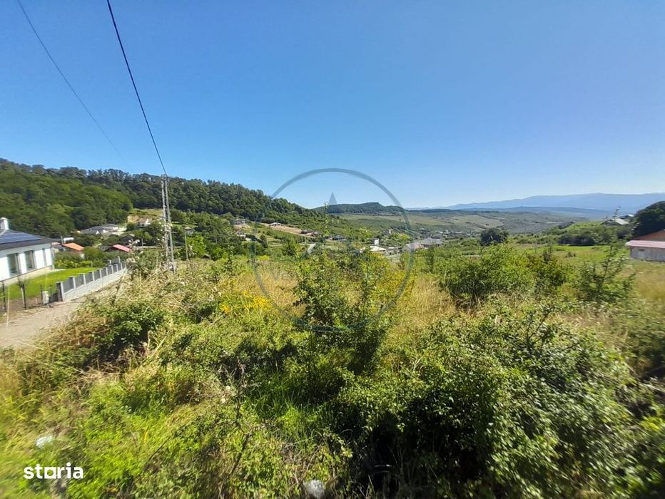 Teren 990Mp,Valea Jelnii