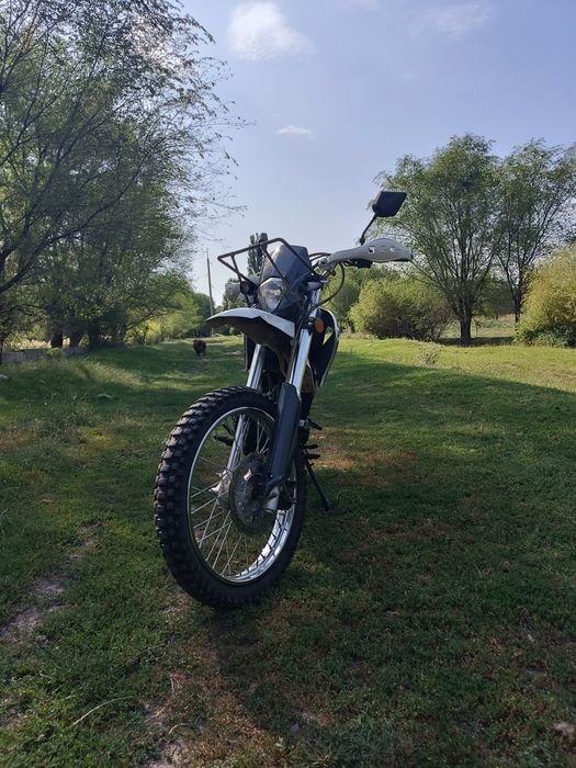 Рейсер пантера 300