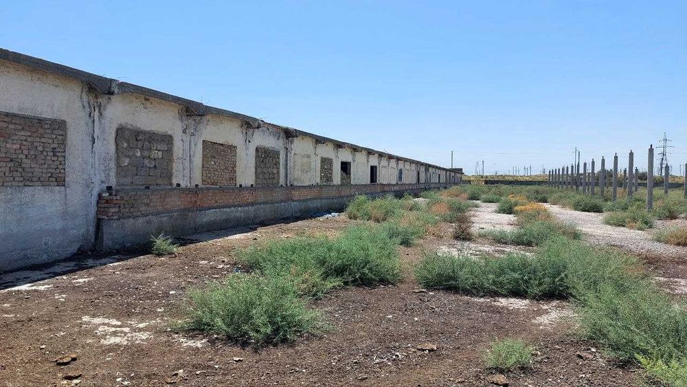 "Molxona va boshqa bino inshoatlari "