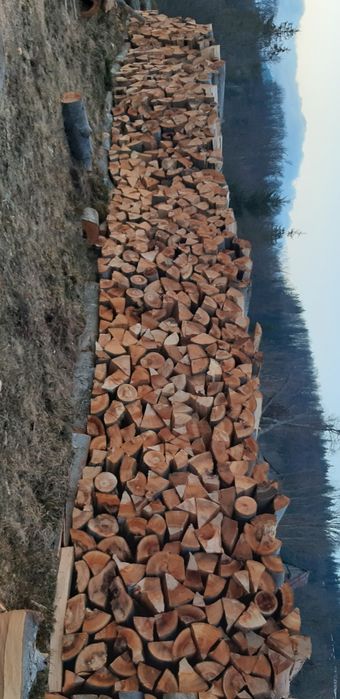 Lemne de fag uscate sau verzi