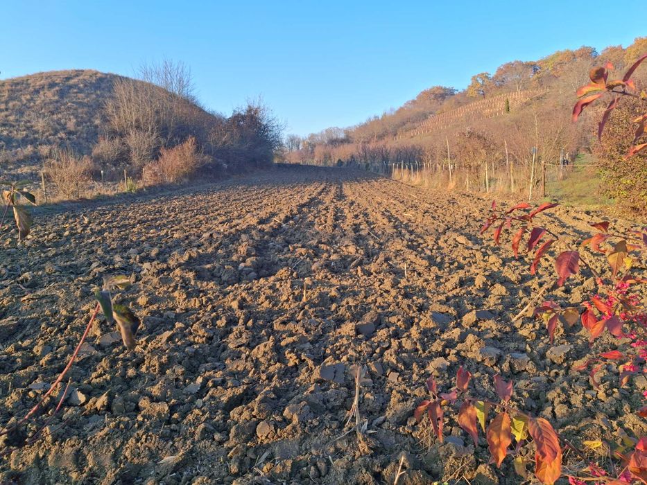 Vand teren la Corunca