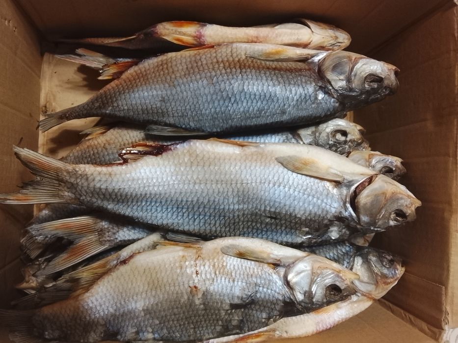 Продам Воблу с икрой