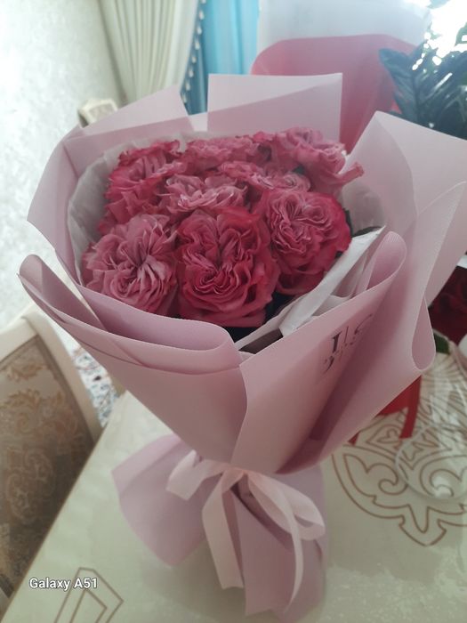 Продам срочно цветы