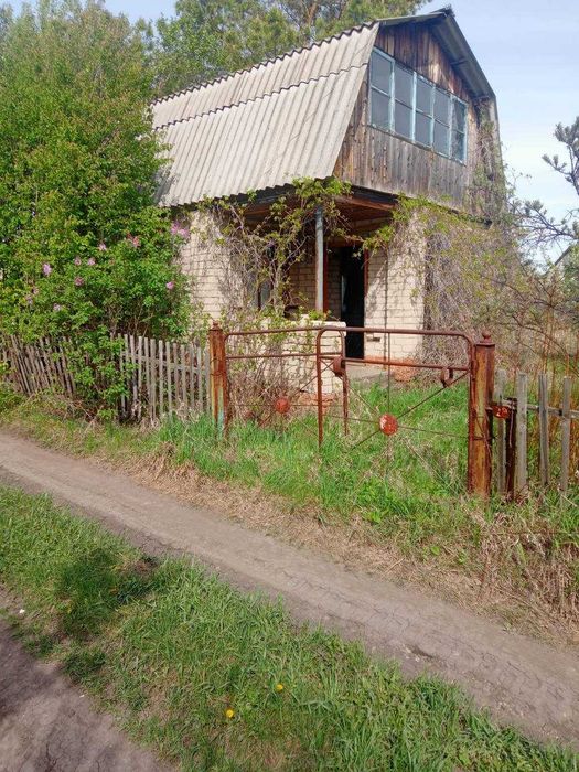 Дачный участок в  с/о "Ромашка"