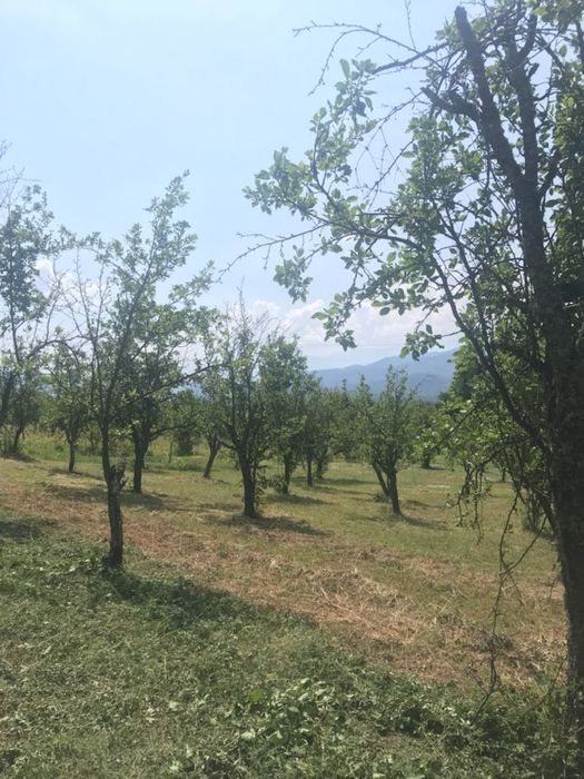 Косене и поддръжка на имоти