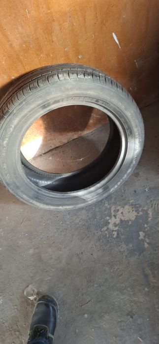 Шина автомобильная