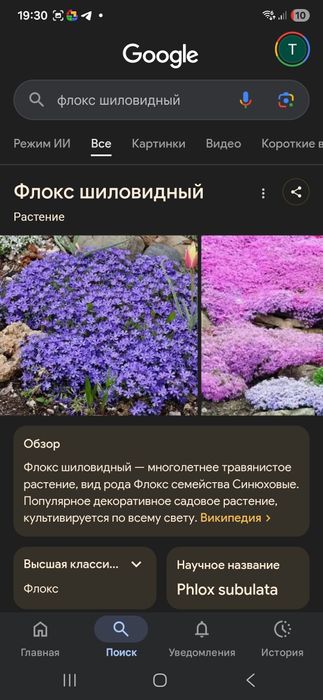 Продам излишки цветов  для сада