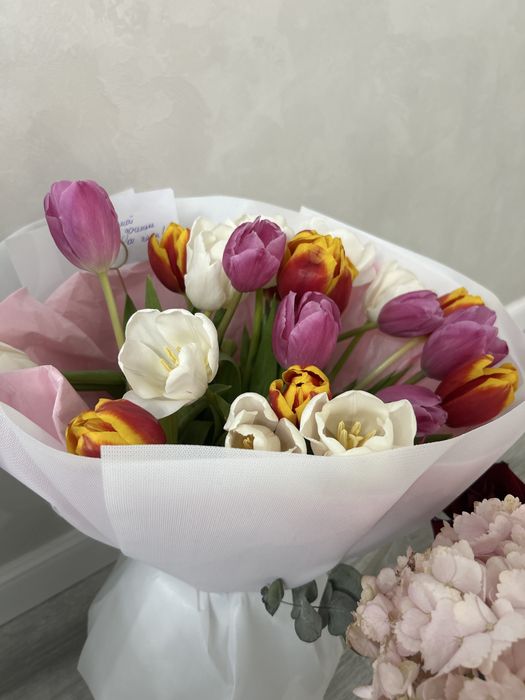 тюльпаны продаю сегодня