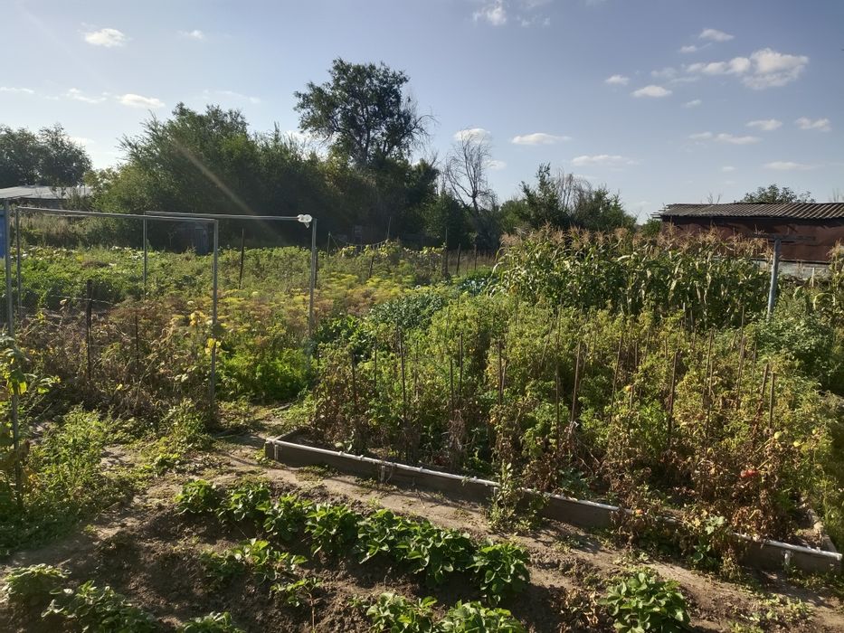 Продам дом в Жилянке