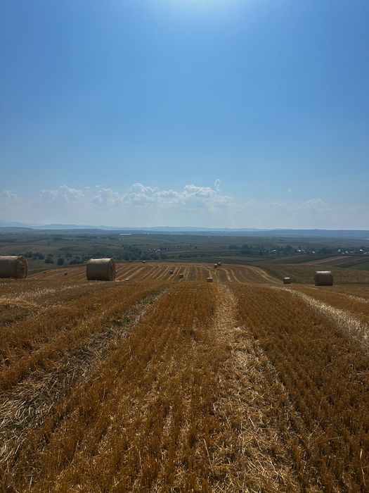 Baloți paie grâu