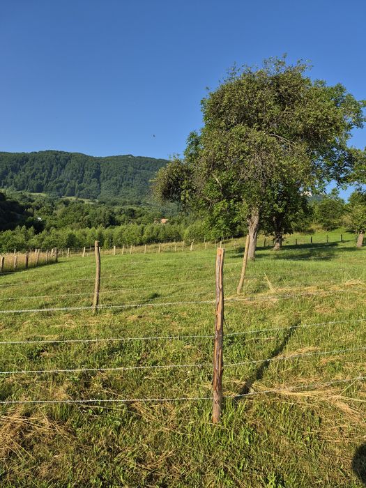 Vand teren intravilan Bran ,Tohănița  ,1986 mp