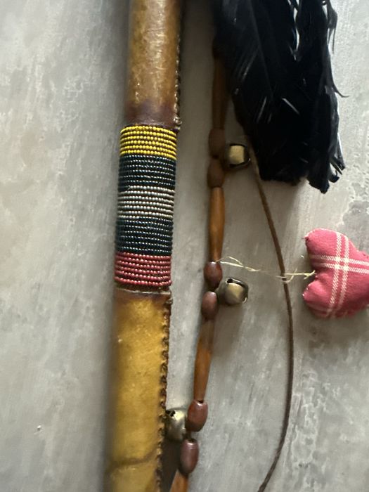 “Pipa pacii” amerindiana