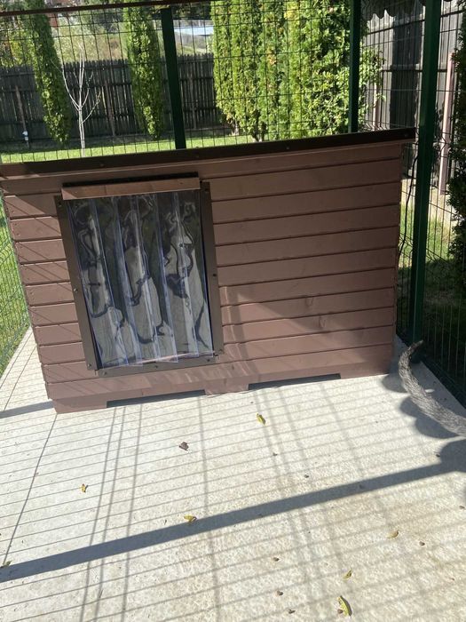 Cusca caine incalzita