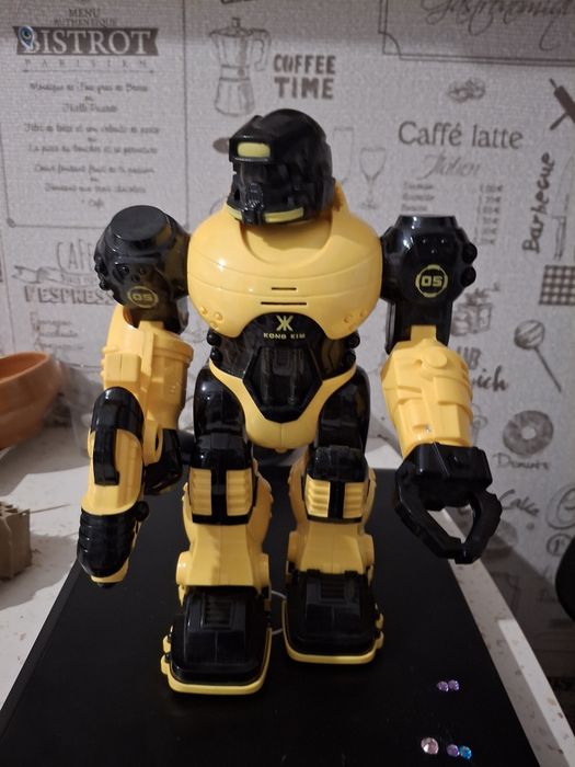 Robot jucarie interactiv