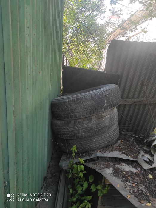 Продам резину не дорого