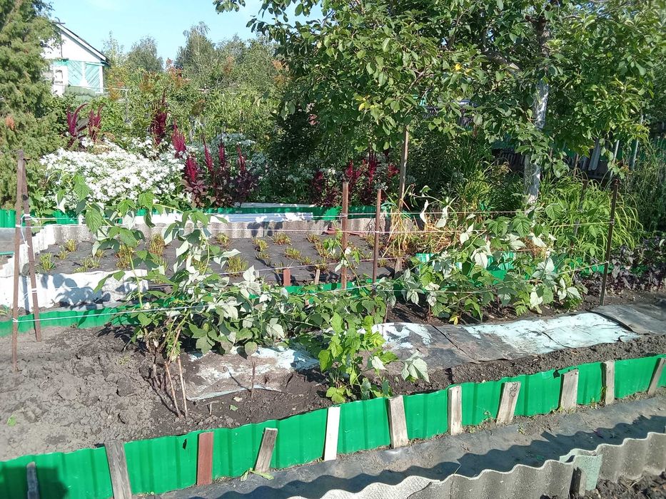 Продам дачу с 1 сентября