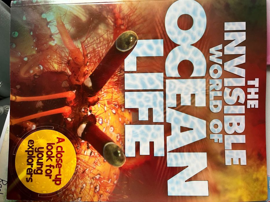 Лот книжки на английски език