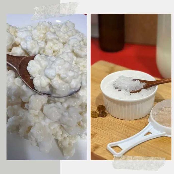 Kefir (chefir) de lapte şi apă - Set 2 culturi vii pentru fermentație