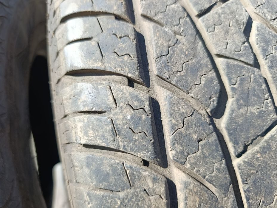 Авто шины Максим браво