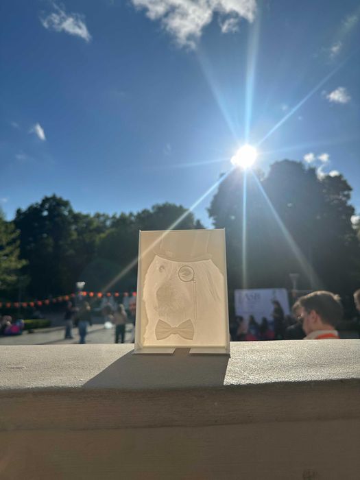 Servicii Profesionale de Printare și Modelare 3D