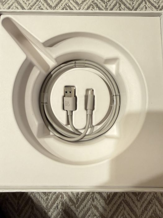 Bang & Olufsen Beosound A1 2nd gen speaker