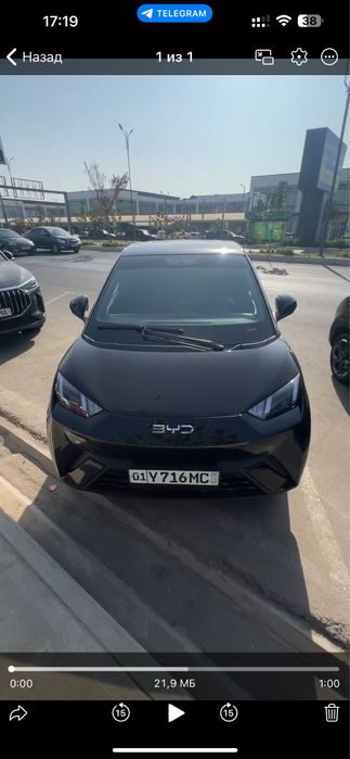 Byd Seagull 2024 versiya 2025