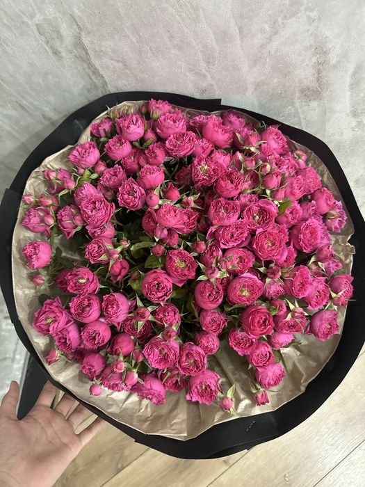 Свежый букет, спрей роза