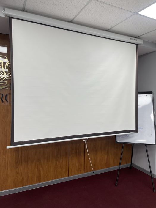 Проектрор Epson с креплением