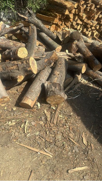 LEmne de FOC pentru Sobe si Centrale