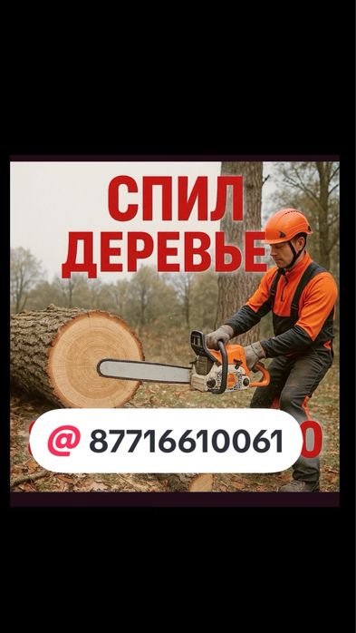 Спил деревье Ағаш кесу