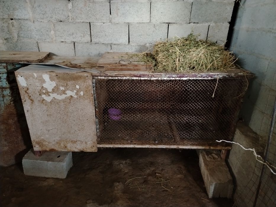 Куен катаклар сотилади