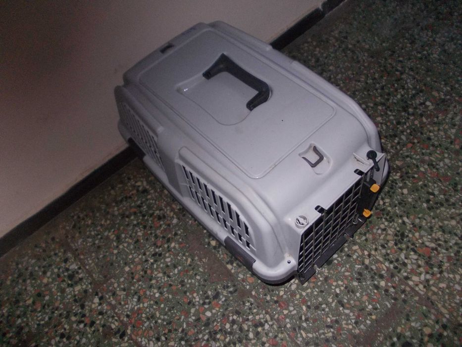 Cusca transport pisoi catel 50cm/34cm caine pisica bichon caine iepure