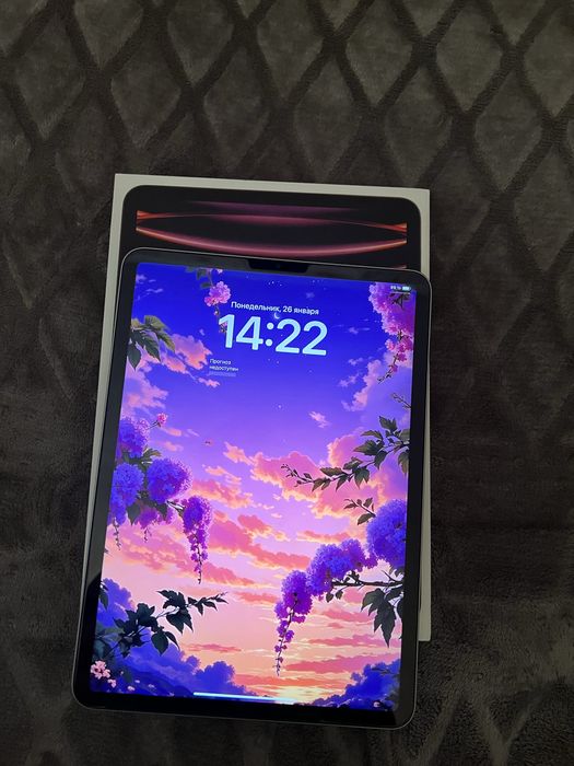 Ipad Pro 11 Gen4 8/256gb