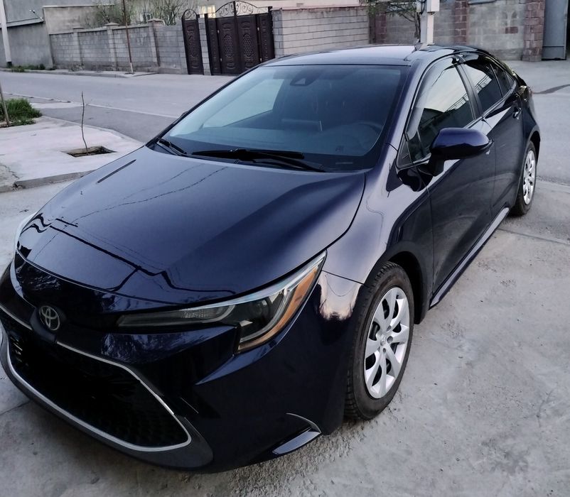 Кастоправ, автомаляр, жестянщик.