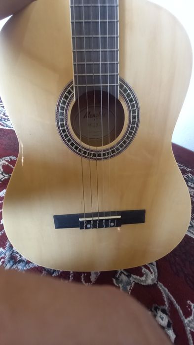 Gitara Memphis by tagima