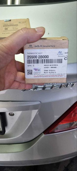 Hyundai KIA 255002B000 ТЕРМОСТАТ