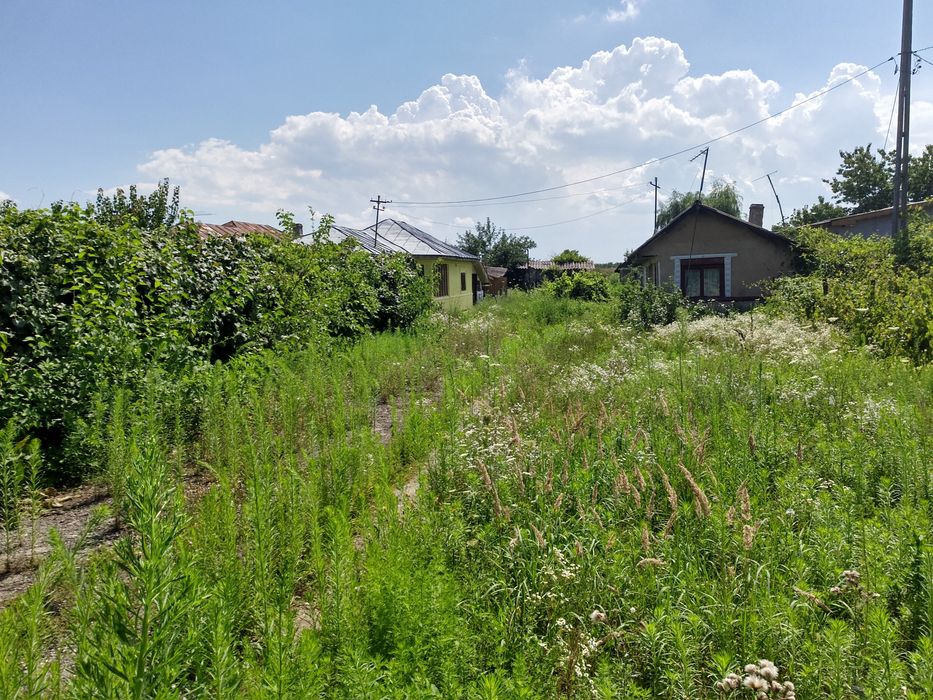 Vînzare teren ,2500 de metri pătrați