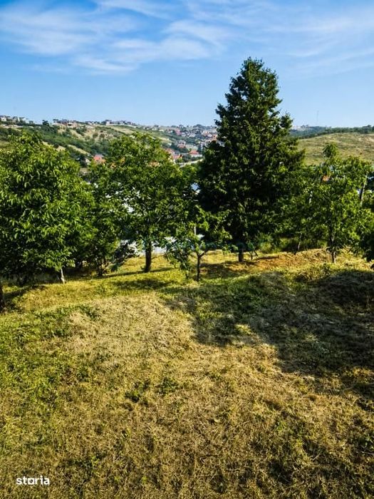 Teren de vanzare cu priveliste, Doja, 810 mp, Oradea, Gaminvest,V1189A
