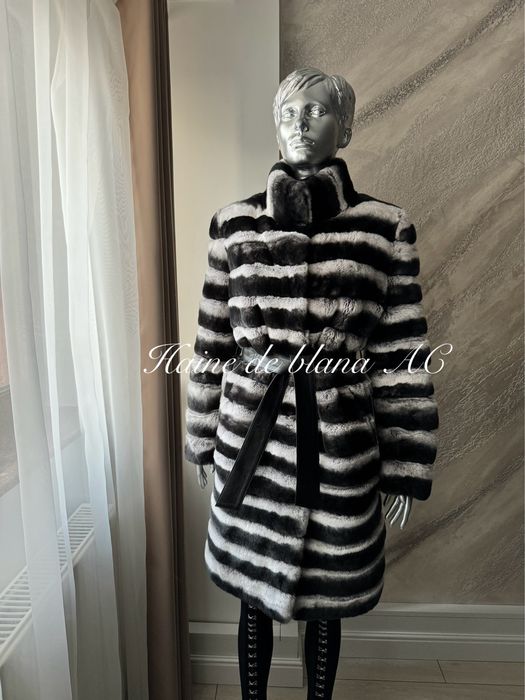 Haina de blana chinchilla rex