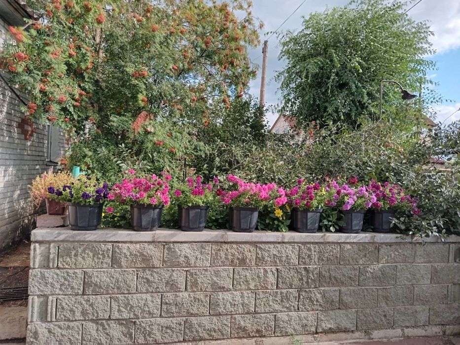 Летние ТЕПЛЫЕ домики в Боровом